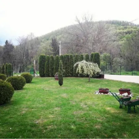 Mihajlovic * Sisevac